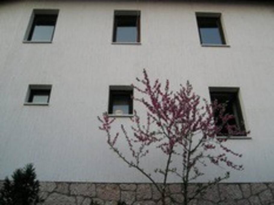 Apartment In Old Town - Top Location Сараєво Екстер'єр фото